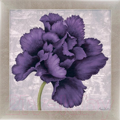 Картина Декарт Фиолетовый цветок 8Л2115 (в раме)