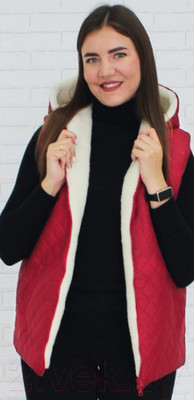 Жилет утепленный Lanatex 236 / 22373 (р.170-100-108/50, красный)