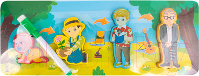 Сортер Darvish Вкладыш-пазл / SR-T-3703-5