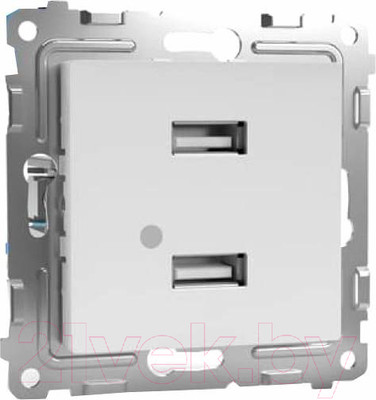 Розетка Tokov Electric Pixel TKE-PX-2USB-C01 (белый)