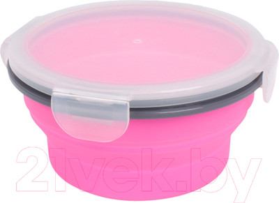 Контейнер Darvish DV-H-1875