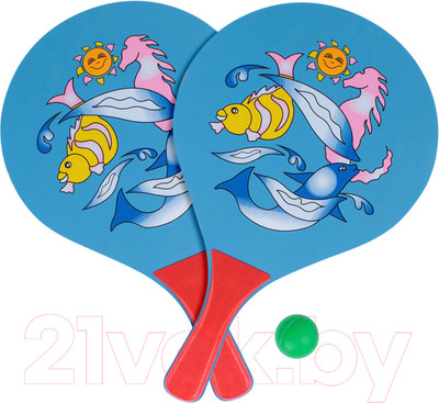 Набор для настольного тенниса Darvish SR-S-241