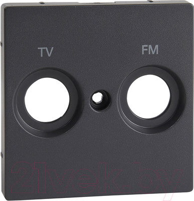 Лицевая панель Schneider Electric Merten MTN299514