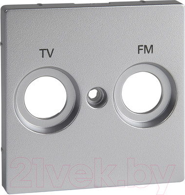 Лицевая панель Schneider Electric Merten MTN299560