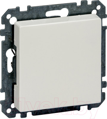 Декоративная заглушка для розетки Schneider Electric Merten MTN391619