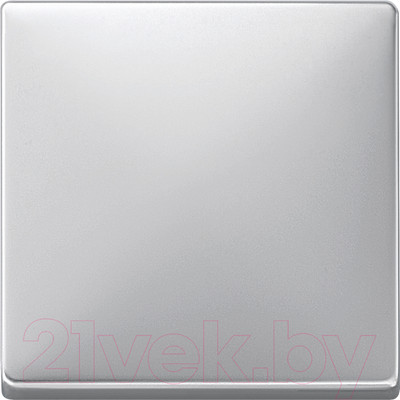 Клавиша для выключателя Schneider Electric Merten MTN412160