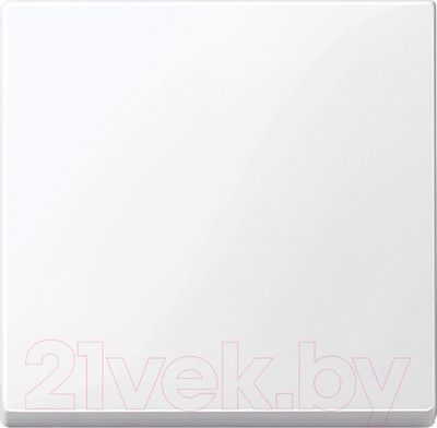 Клавиша для выключателя Schneider Electric Merten MTN432125