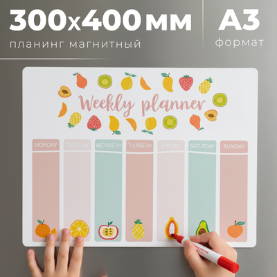 Планинг магнитный Office Shark TBD0595703001B