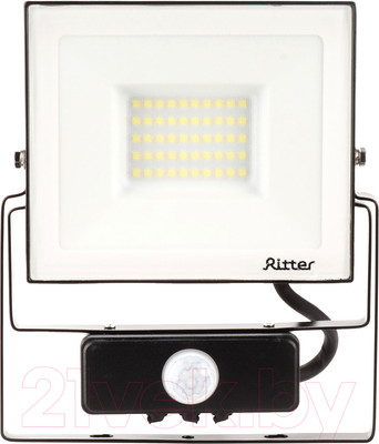 Прожектор REV Ritter Profi / 53421 5 (черный)