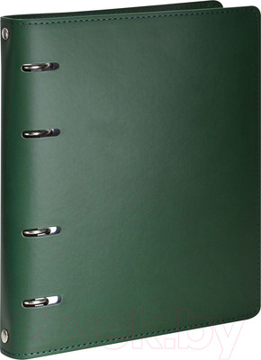 Тетрадь inФормат IFNR-LTH-GR (120л, зеленый)