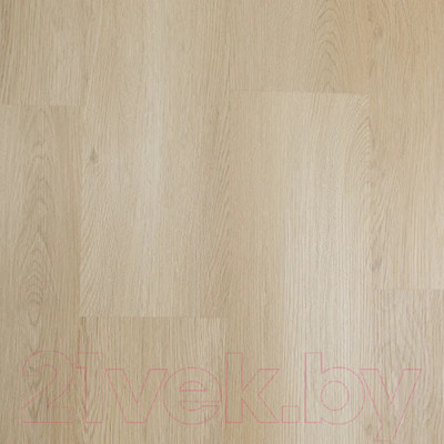 Виниловый пол Swissfloor SPC Плейс Берн / PL1-03