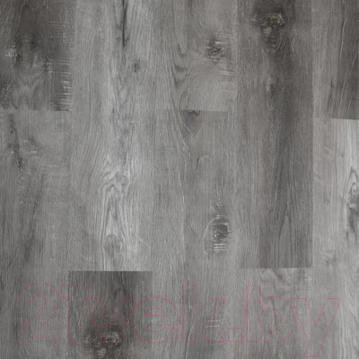 Виниловый пол Swissfloor SPC Плейс Баден / PL1-09