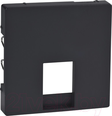 Лицевая панель Schneider Electric Merten MTN463514