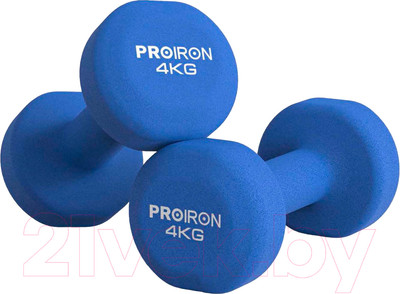 Набор гантелей Proiron Неопреновые / Г2040НЕО (2шт)