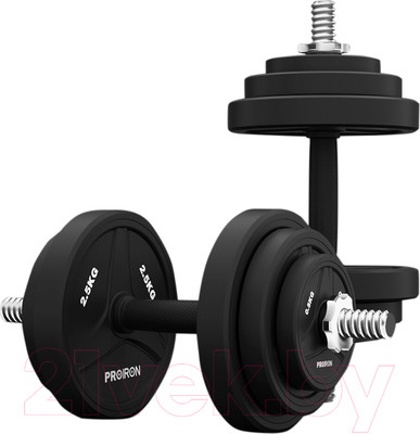 Набор гантелей разборных Proiron Г2100РО (2шт)