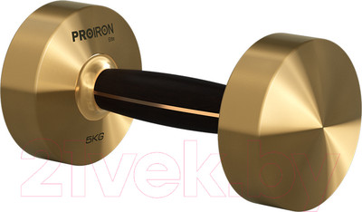 Гантель Proiron С подставкой / Г1050ЛЧ (5кг)
