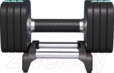 Гантель разборная Proiron ГБ1100Р (10кг)