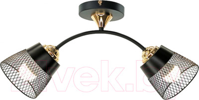 Потолочный светильник Aitin-Pro НПБ 02-2x60-102 / XA1539/2