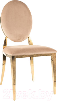 Стул Signal King (Velvet Bluvel 28 бежевый/золото)