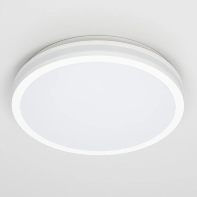 Потолочный светильник Citilux Luns CL711020V