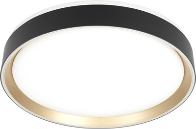 Потолочный светильник Citilux Boss CL751351G