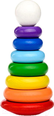 Развивающая игрушка Томик Пирамидка / 204