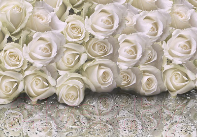 Фотообои листовые Citydecor Розы с каплями росы (200x140)