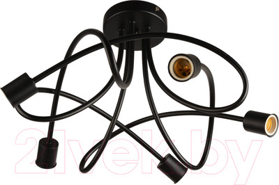Потолочный светильник Mirastyle BL-0913/5B BK