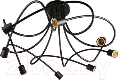 Потолочный светильник Mirastyle BL-0913/8B BK