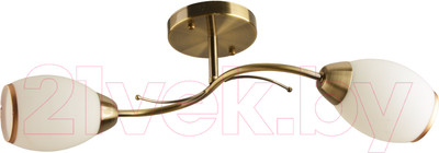 Потолочный светильник Mirastyle BL-7616/2 AB