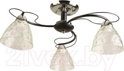 Потолочный светильник Mirastyle BL-7760/3 CR+BK