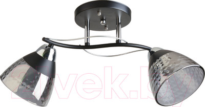 Потолочный светильник Mirastyle BL-8199/2 BK+CR