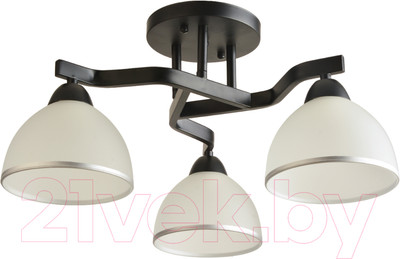 Потолочный светильник Mirastyle BL-8205/3 BK