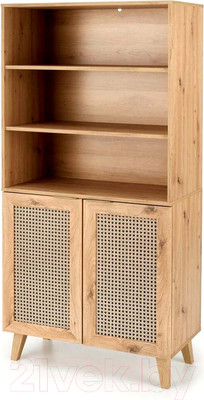 Стеллаж Halmar Borneo REG-1 (дуб артизан/черный)