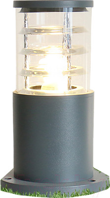 Светильник уличный Elektrostandard 1508 Techno (серый)