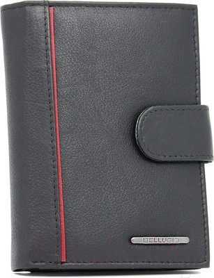 Портмоне Bellugio EM-96R-123A