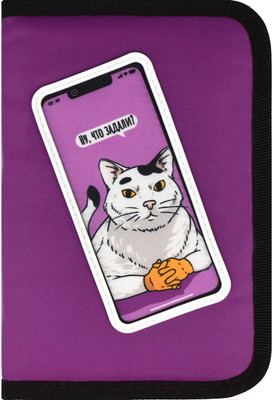 Пенал Феникс+ Кот / 65679