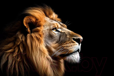 Картина на стекле Stamprint Смотрящий в даль AN014 (80x120)