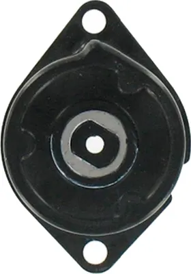 Натяжной ролик ремня генератора SKF VKM31030