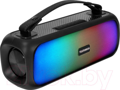Портативная колонка Telefunken TF-PS1281B (черный)