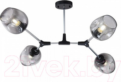 Люстра Freya Modern Desi FR5006CL-04B