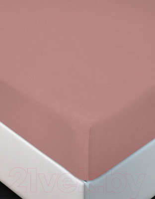 Простыня для малышей АртПостель На резинке Терракот 250 (60x120x10)