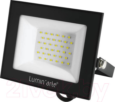 Прожектор LuminArte LFL-50W/06