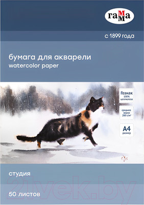 Набор бумаги для рисования ГАММА Студия / 40C03F750W (50л)