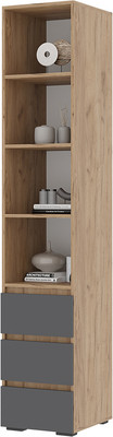 Стеллаж Стендмебель Хелен ПН 02 (серый графит 0162/дуб крафт золотой)