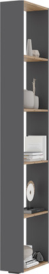 Стеллаж Стендмебель Хелен СТЛ 01 (серый графит 0162/дуб крафт золотой)