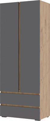 Шкаф Стендмебель Хелен ШК 01 2-х створчатый (серый графит 0162/дуб крафт золотой)