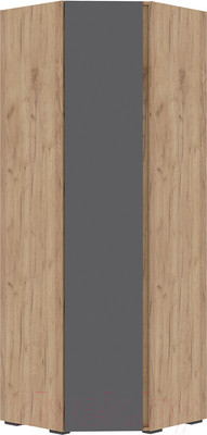 Шкаф Стендмебель Хелен ШК 04 угловой (серый графит 0162/дуб крафт золотой)