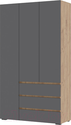 Шкаф Стендмебель Хелен ШК 06 (серый графит 0162/дуб крафт золотой)