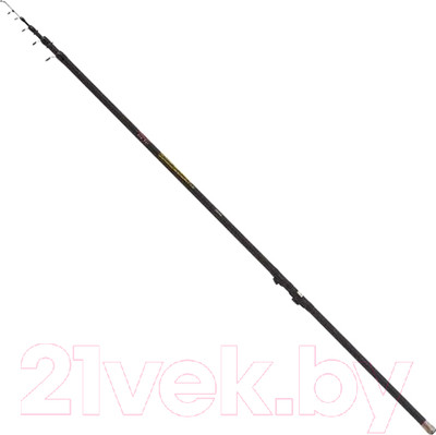 Удилище Dayo Princess 10-30гр (4м)